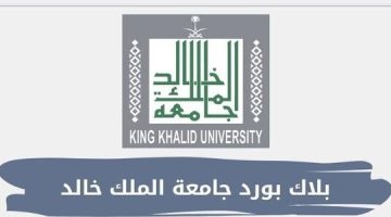 طريقة دخول بلاك بورد جامعة الملك خالد 1446 بالتفصيل