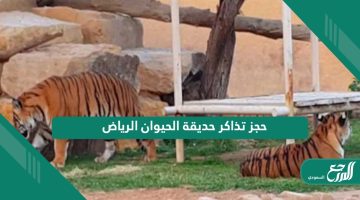 كيف طريقة حجز تذاكر حديقة الحيوان الرياض 2024
