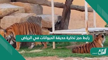 رابط حجز تذكرة حديقة الحيوانات في الرياض