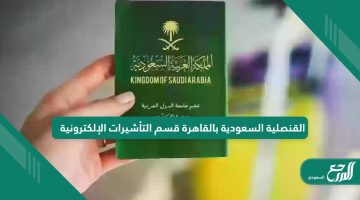 القنصلية السعودية بالقاهرة قسم التأشيرات الإلكترونية